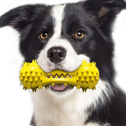 Dog toys: Squeaky toothbrush Toys for large dogs aggressive chewers